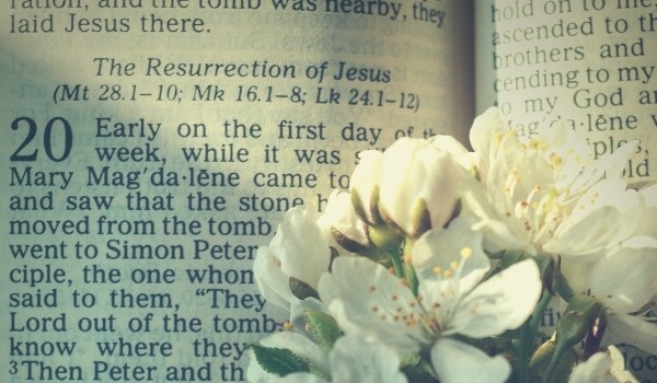 Easter Resources - Image of Bible